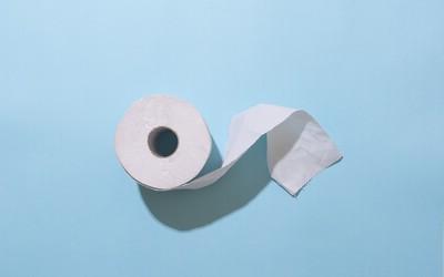 Are Toilet 纸 and 纸 Towels Sustainable?